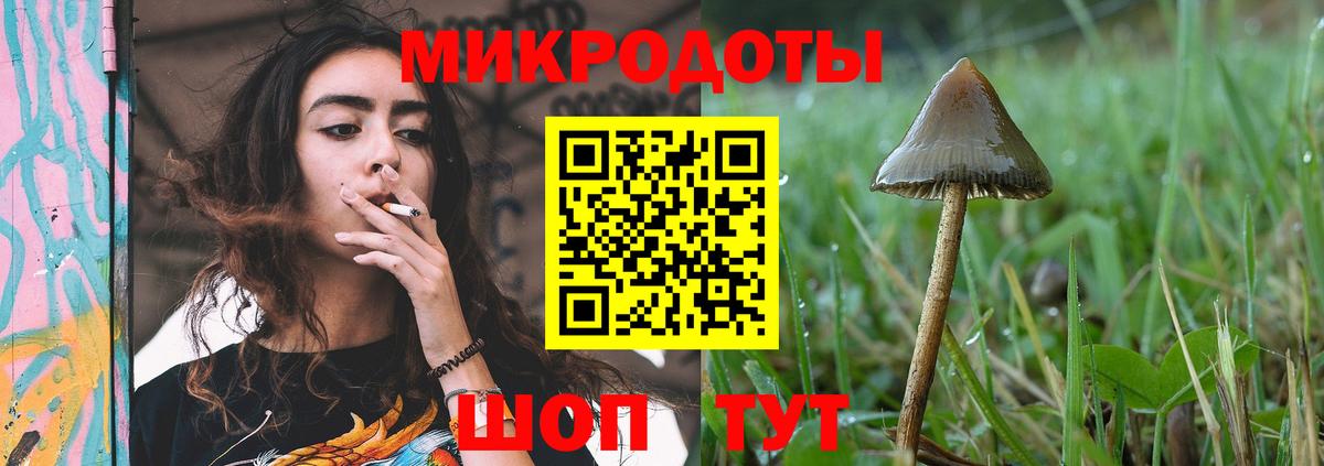 Псилоцибиновые грибы Cubensis  Вход с VPN  Дзержинский 